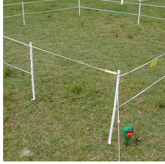 DIY A DOG FENCE CHEAPER THAN INVISIBLE FENCE#174; —