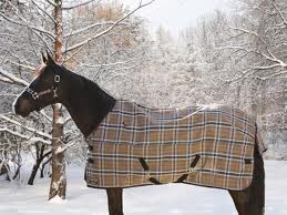 Winter Horse Blankets