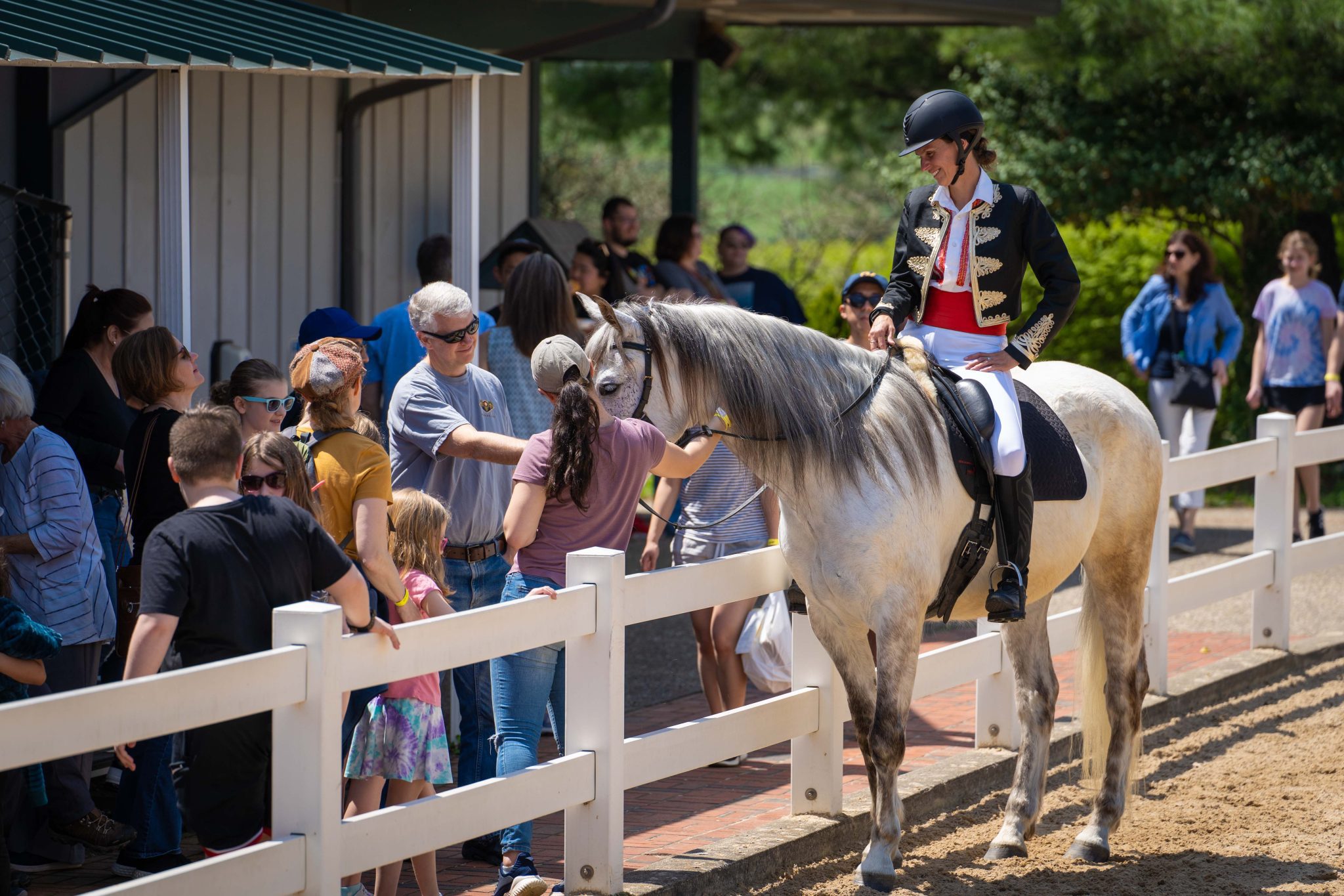 Group Breeds barn