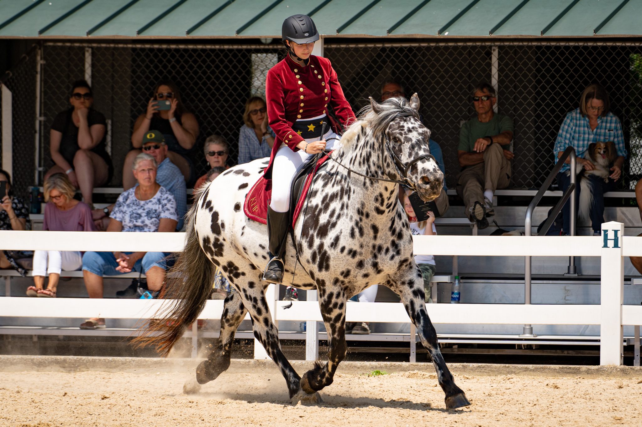 Sugar Bush Breeds Barn