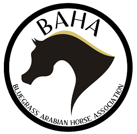 Arabian show logo arabian horse show logo BAHA