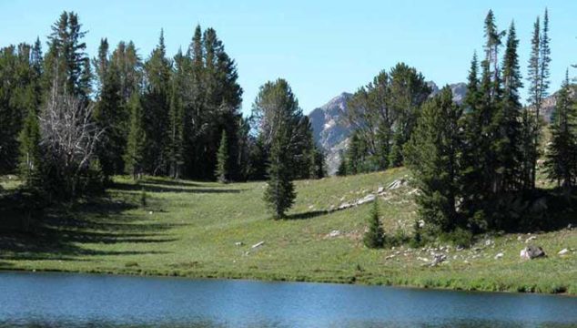 Horseback fishing trip to the Hilgard Basin Montana